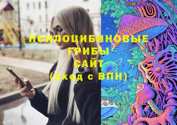 дмт Алексин