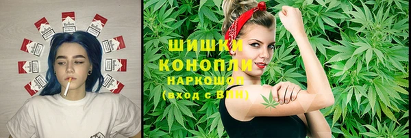 гидра Алзамай