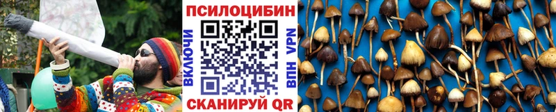 Галлюциногенные грибы MAGIC MUSHROOMS  хочу наркоту  Себеж 